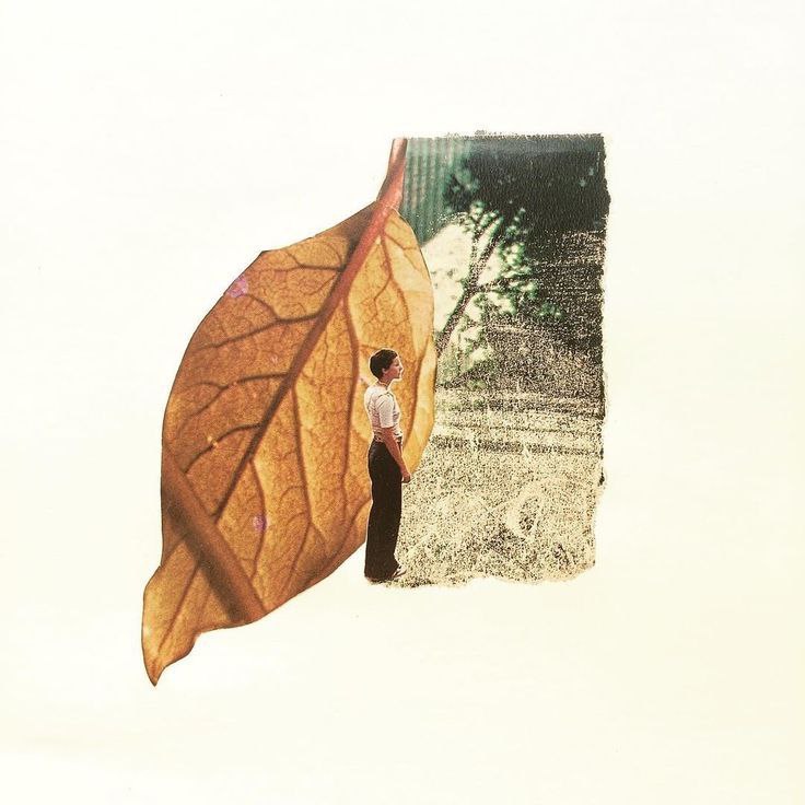 لواسان گردی